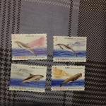 黑蜜馬◕‿◕95年 特494 鯨豚郵票 4全