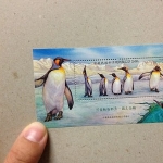 黑蜜馬◕‿◕95年 特485 可愛動物郵票-國王企鵝 小全張